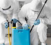 Vision Pest control - Pest Control Experts in Paschim Vihar Delhi - Termite Control Services in Delhi